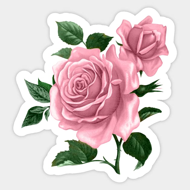 Flowers Women Art Sticker by My Artsam